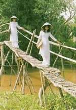 rural girls in traditional "ao dai" are passing "cau khi" or "monkey bridge"